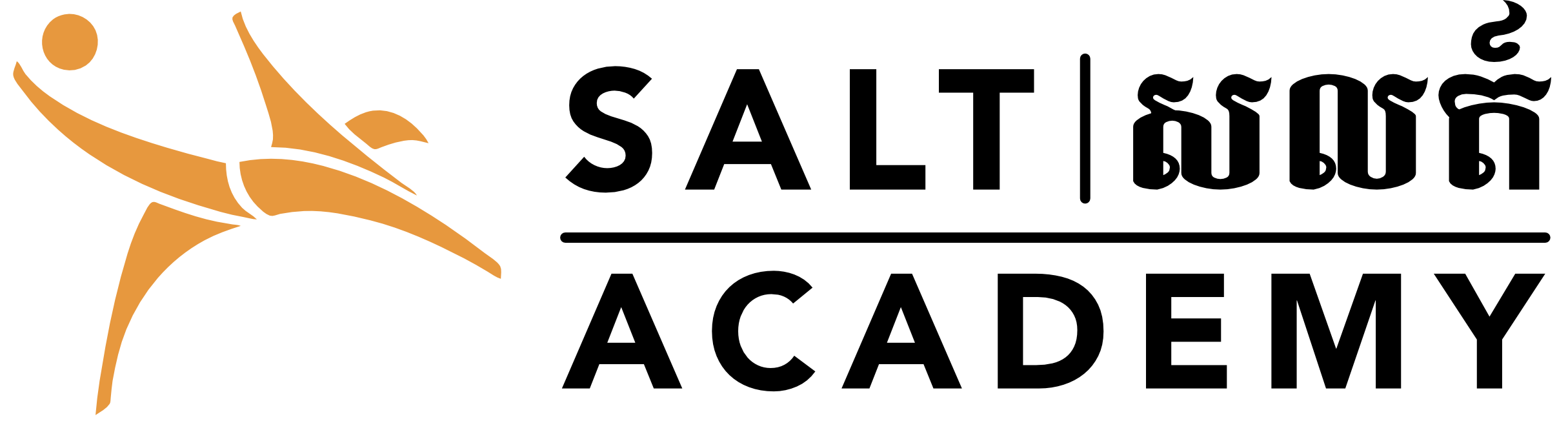 SALT Logo